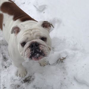 Meet your Posher, Cristina